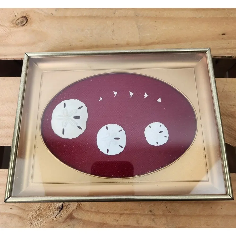 Sand Dollar & Seagull In Gold Tone Shadow box Frame Wall Decor Coastal Beach